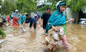 Ghẻ lở, viêm da - bệnh dễ mắc mùa mưa lụt