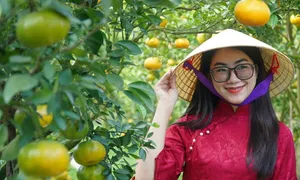 Việt Nam trong 20 quốc gia tốt nhất để đi du lịch